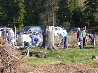Pflanzeinsatz am Deesbacher Sportplatz im April